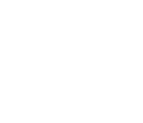 Roma logo